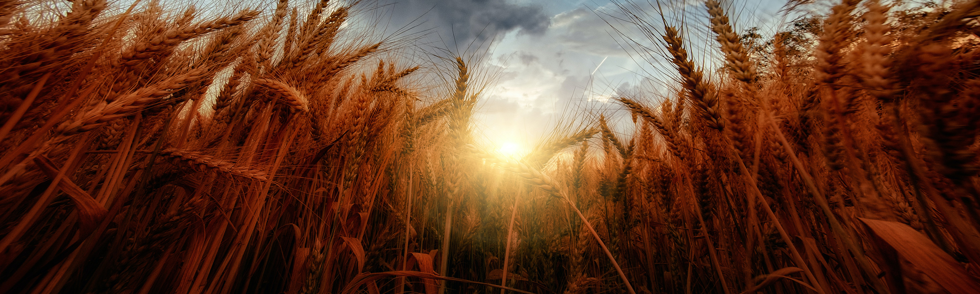 DICKEYjohn Service Request Form